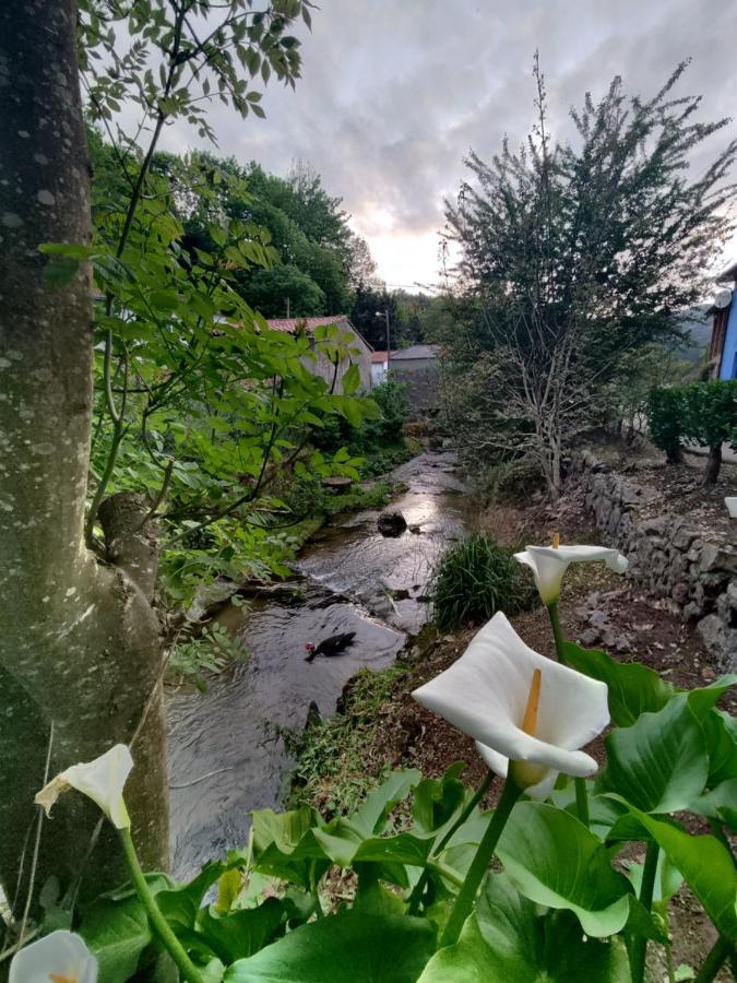 Casa La Cobaraza Vivienda Vacacional Llanes Εξωτερικό φωτογραφία